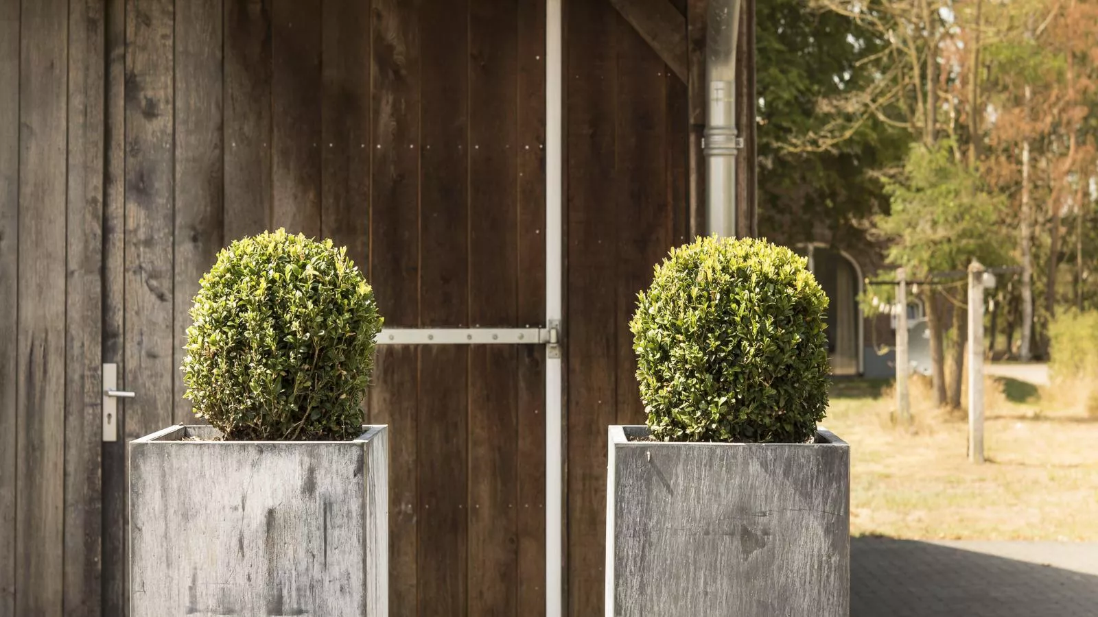 Design Farmers Barn Twente-Atmosphere