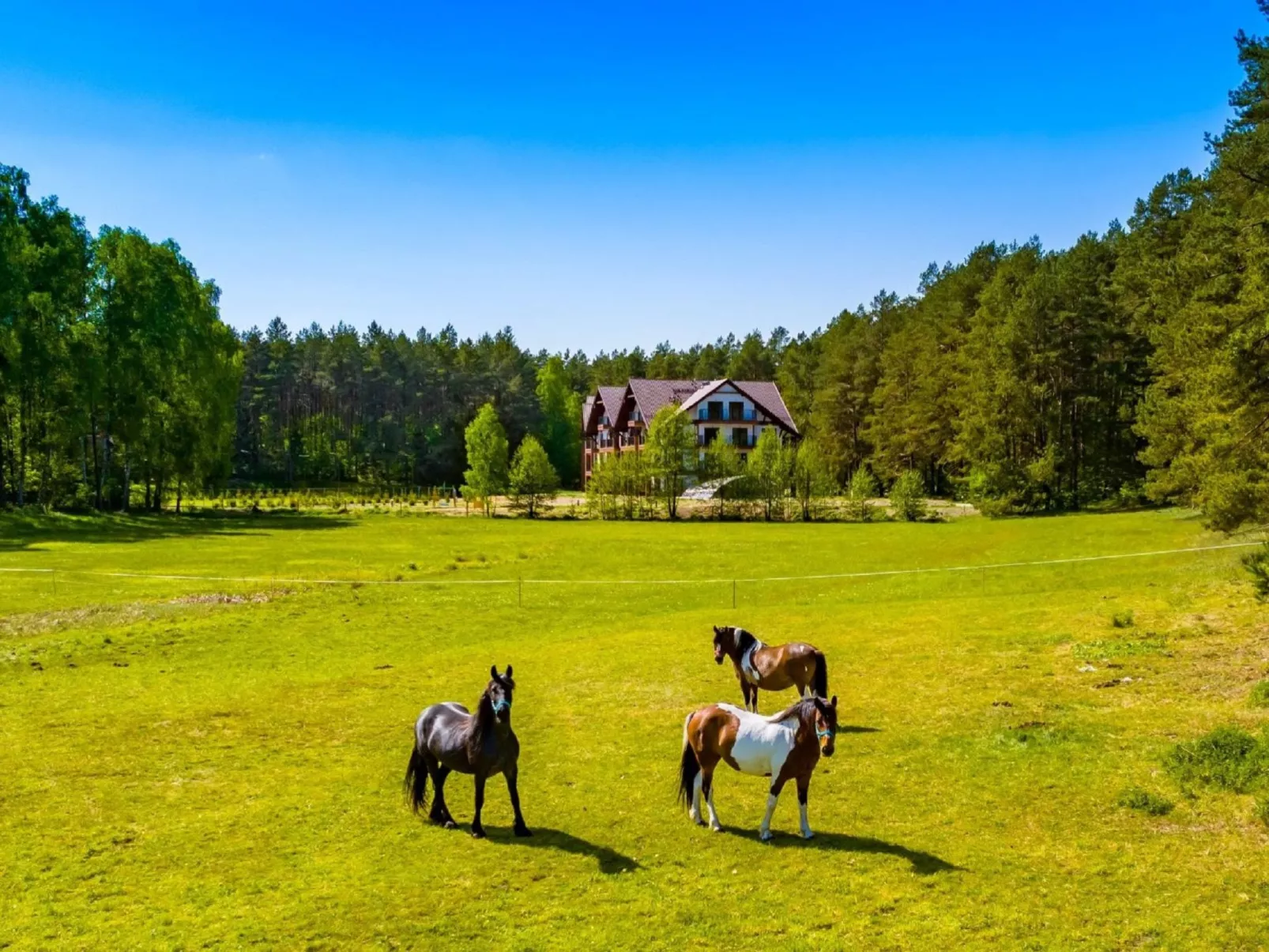 Zapach Lasu - Naturalne Spa-Draußen