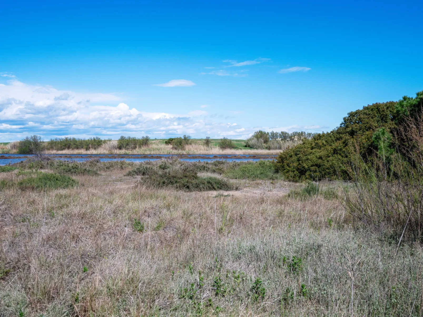 Le bord de l'Etang-Outside