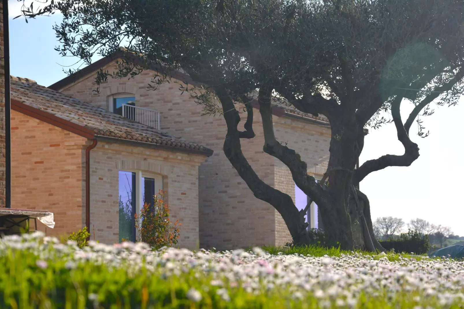 Infiniti Colli-Gardens summer