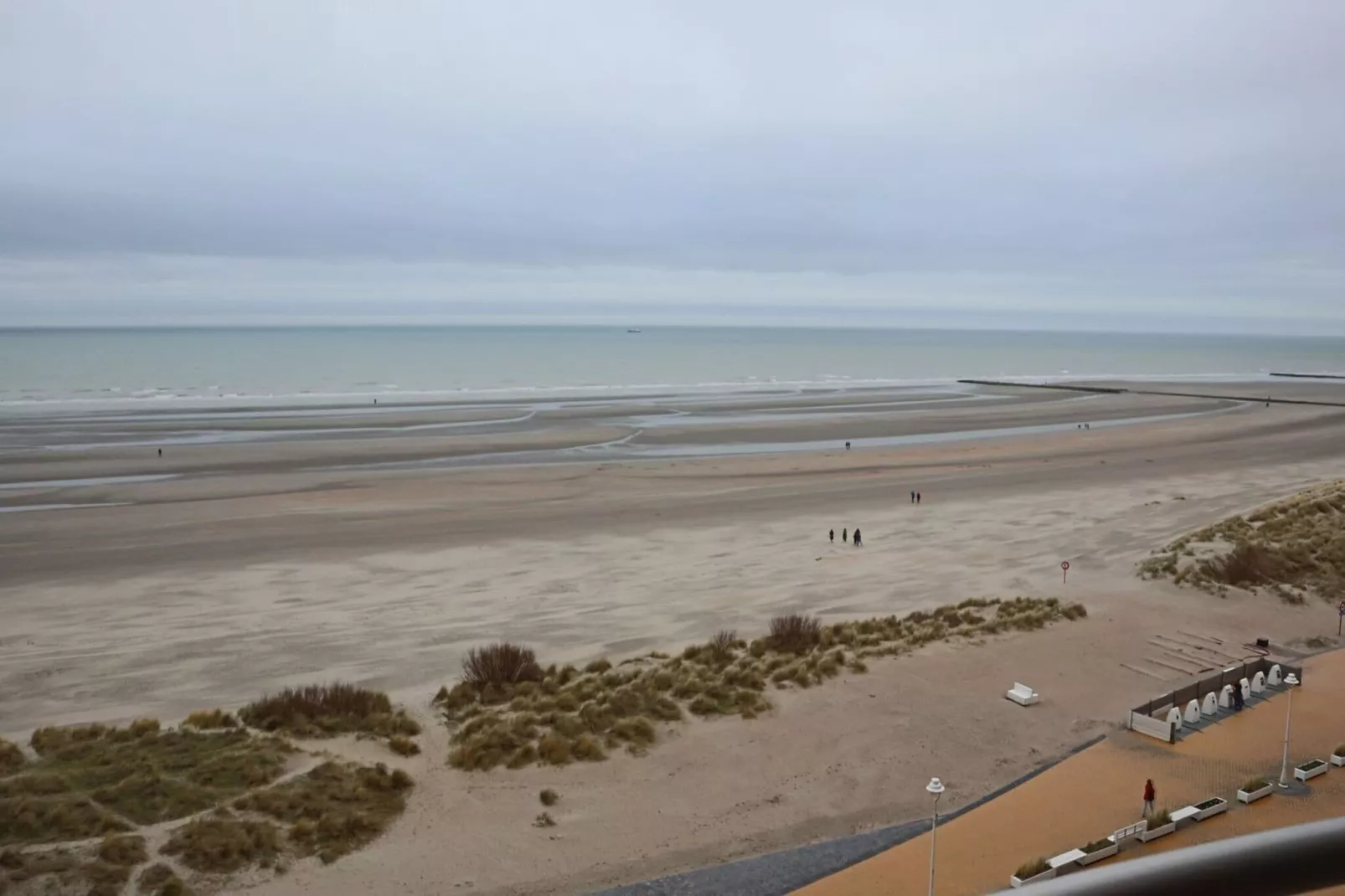 SEASIGHT A 0704GAR-View summer