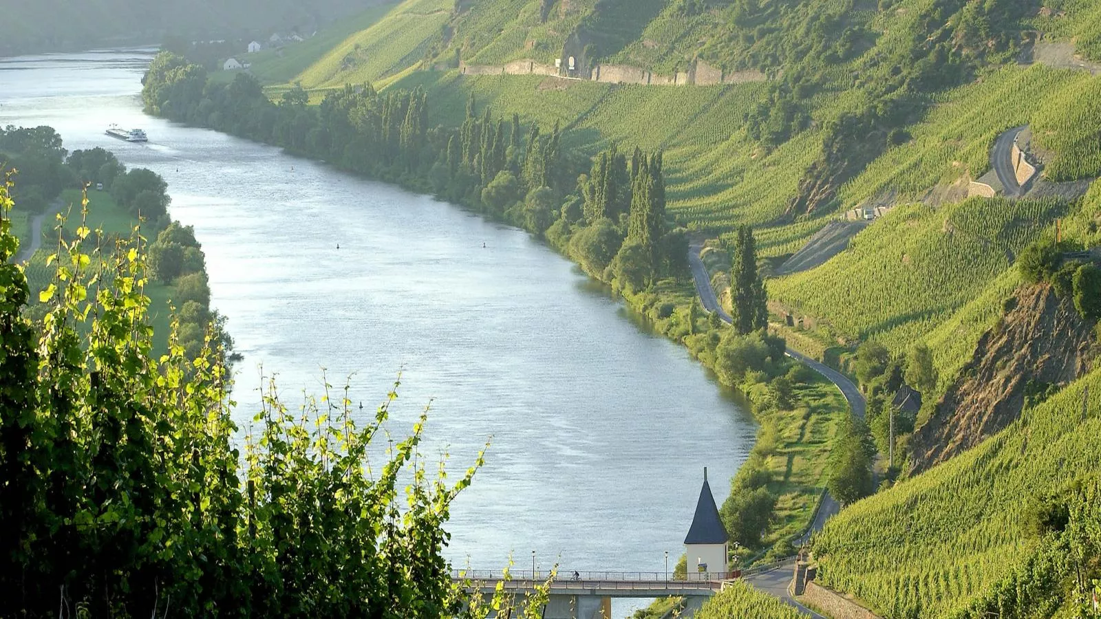 Moselgarten-Areas summer 5km