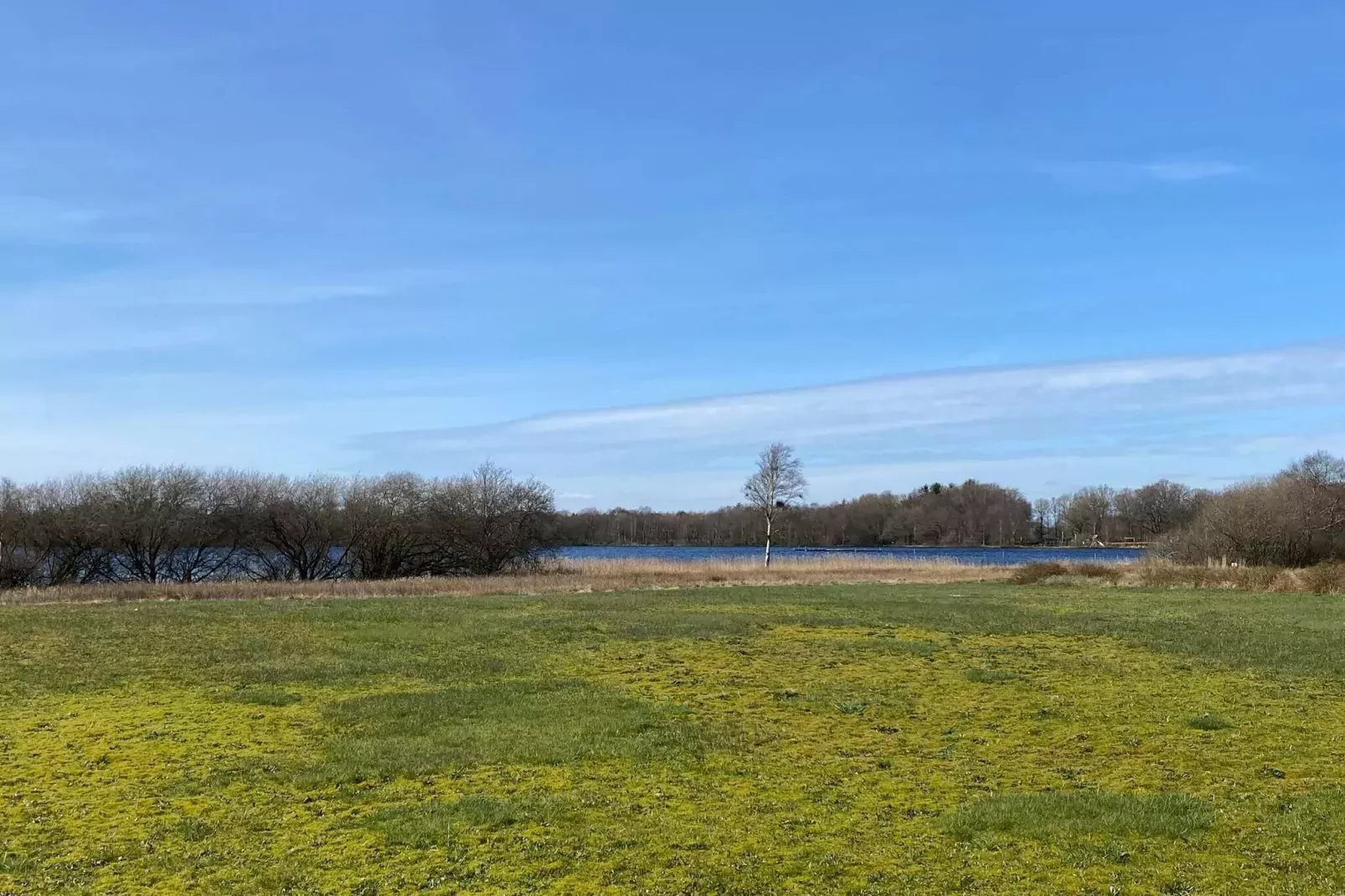 10 person holiday home in Ansager-View