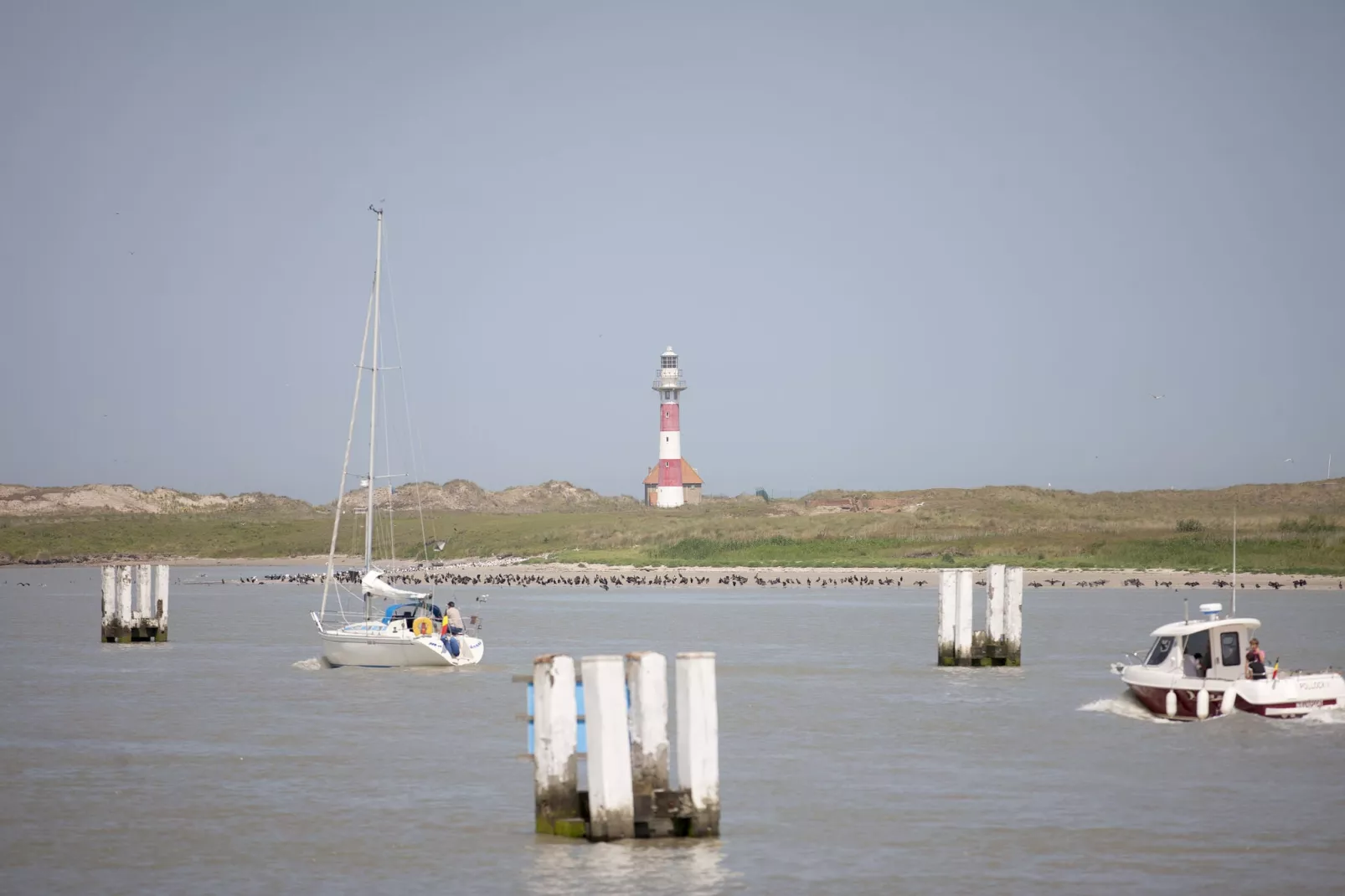 SPINNAKER I 0105GAR-Areas summer 1km