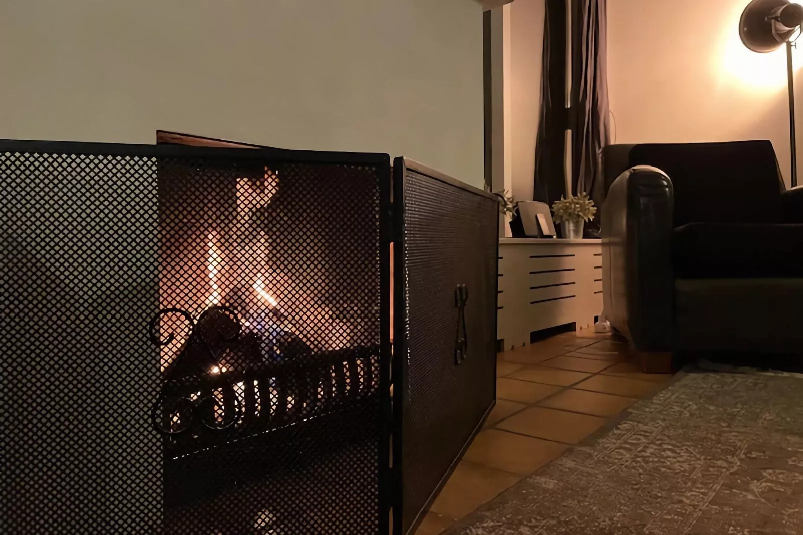 De Reker Zon-Living room