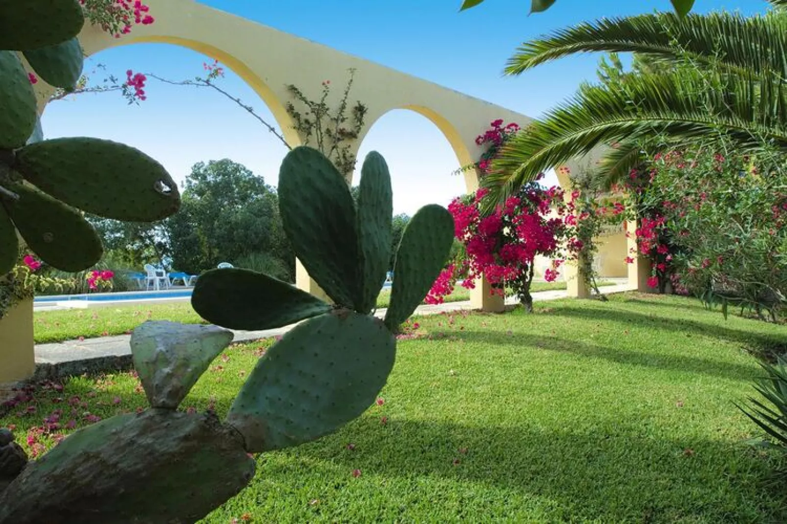 Son Flo Petit ó Casa Nova-/--Gardens summer