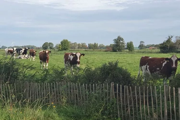 314728-Nicht getaggt