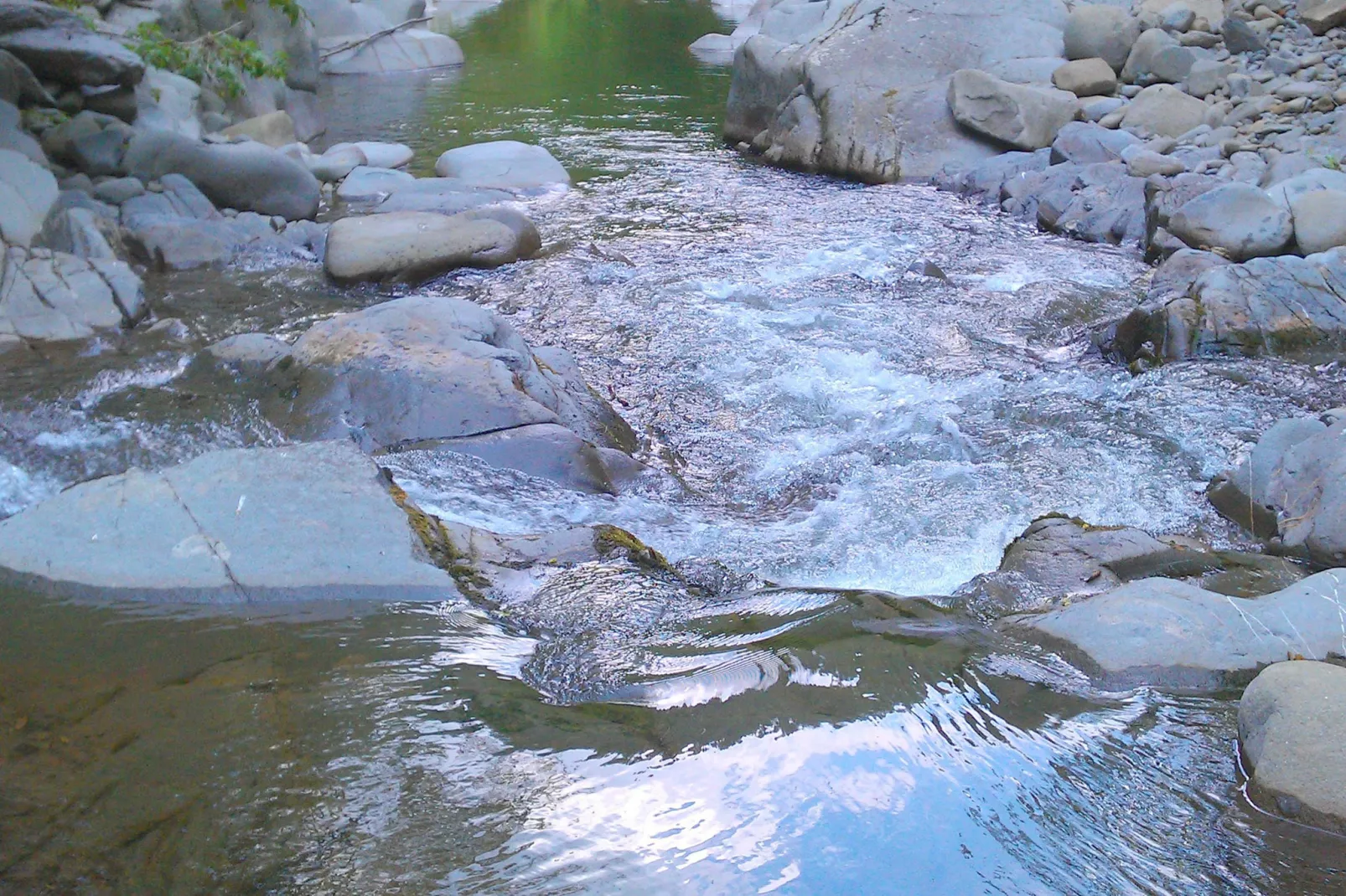 Olivi Verde-Areas summer 5km