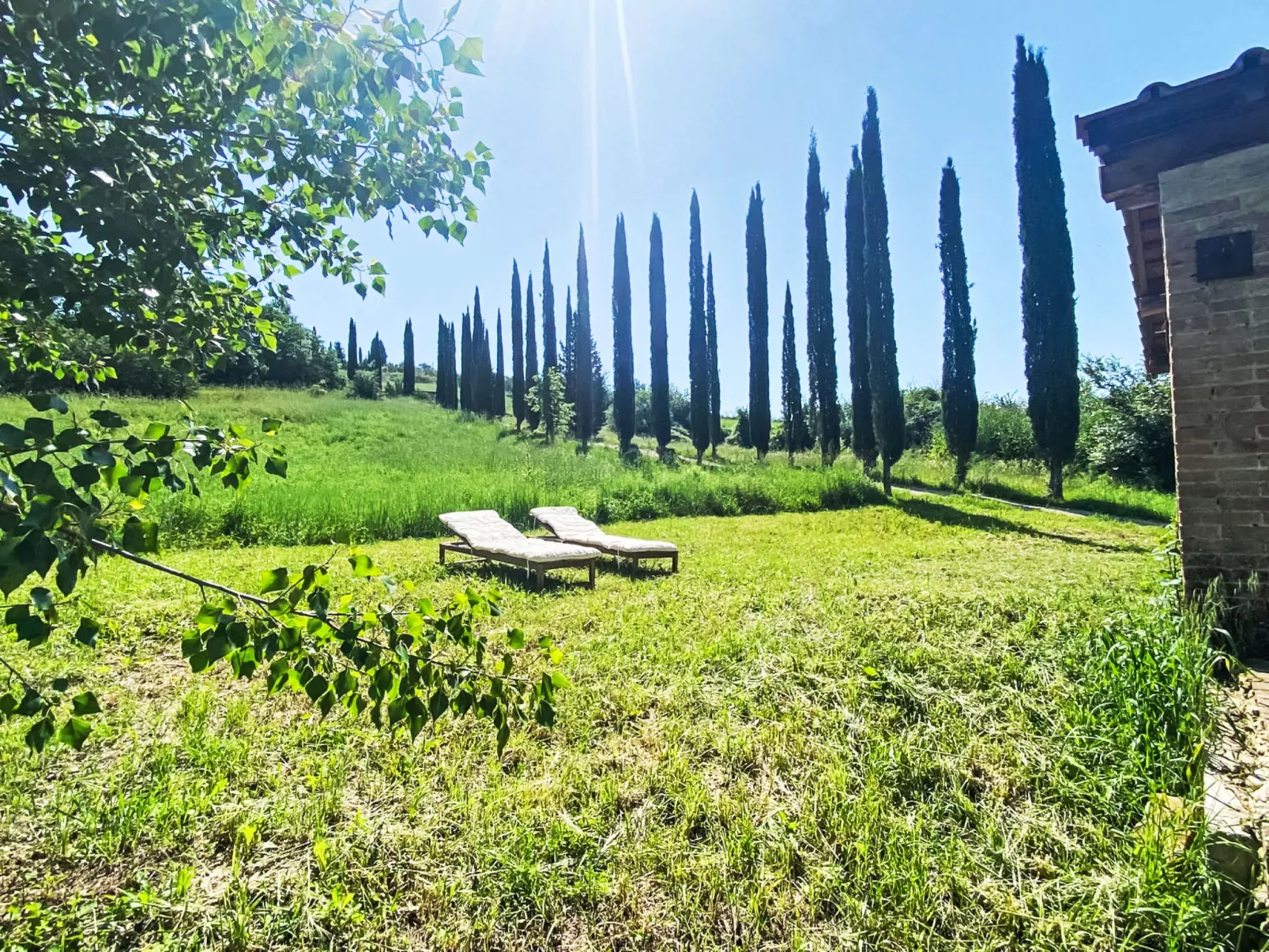 Podere Vetricella-Outside