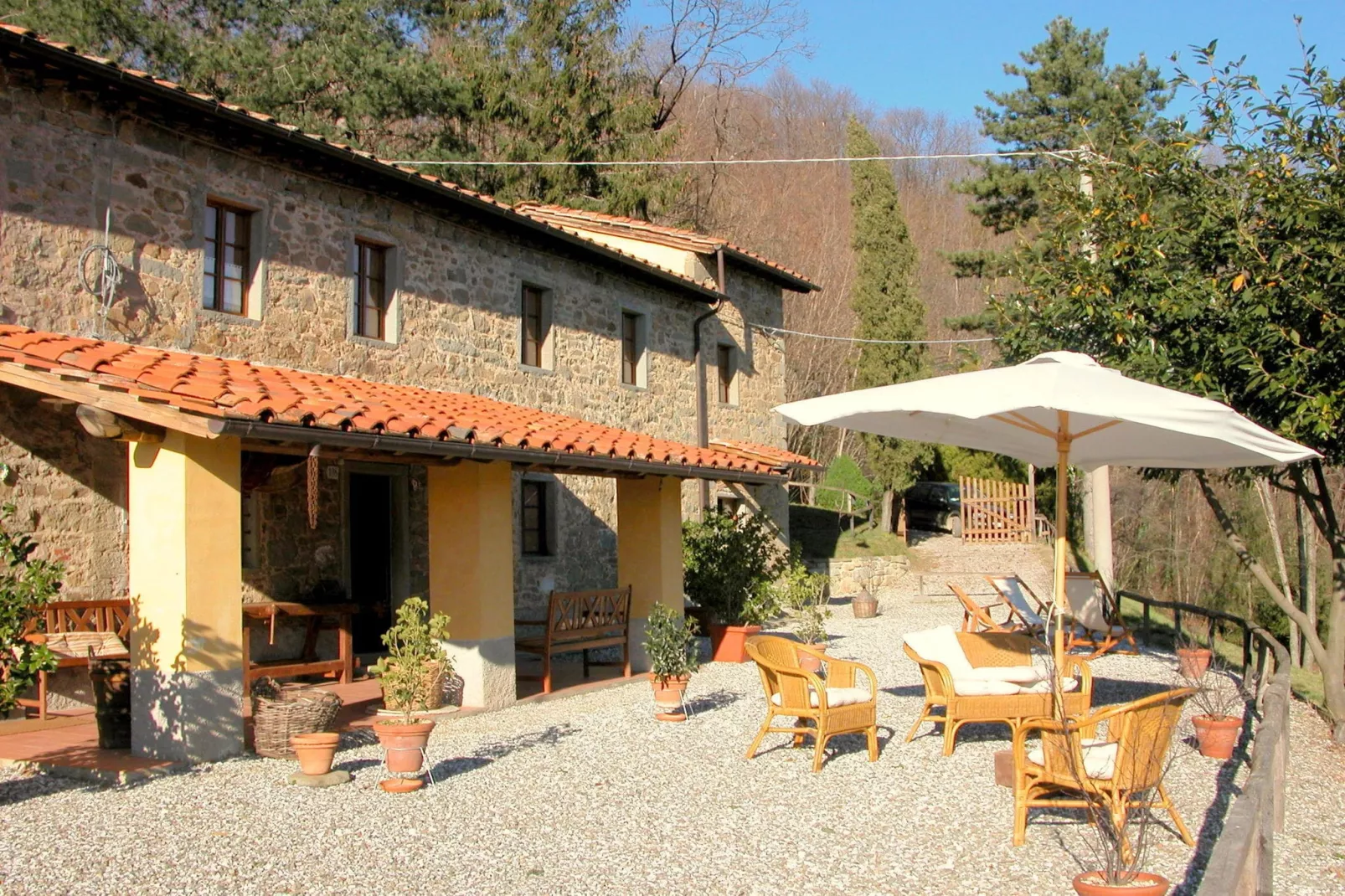Olivi Rosso-Exterior summer
