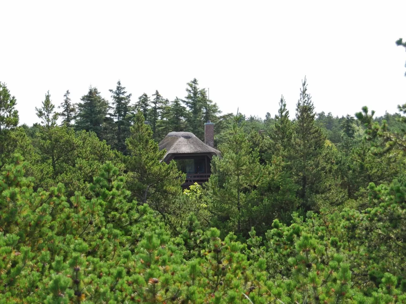 "Akeleje" - 900m from the sea-Outside