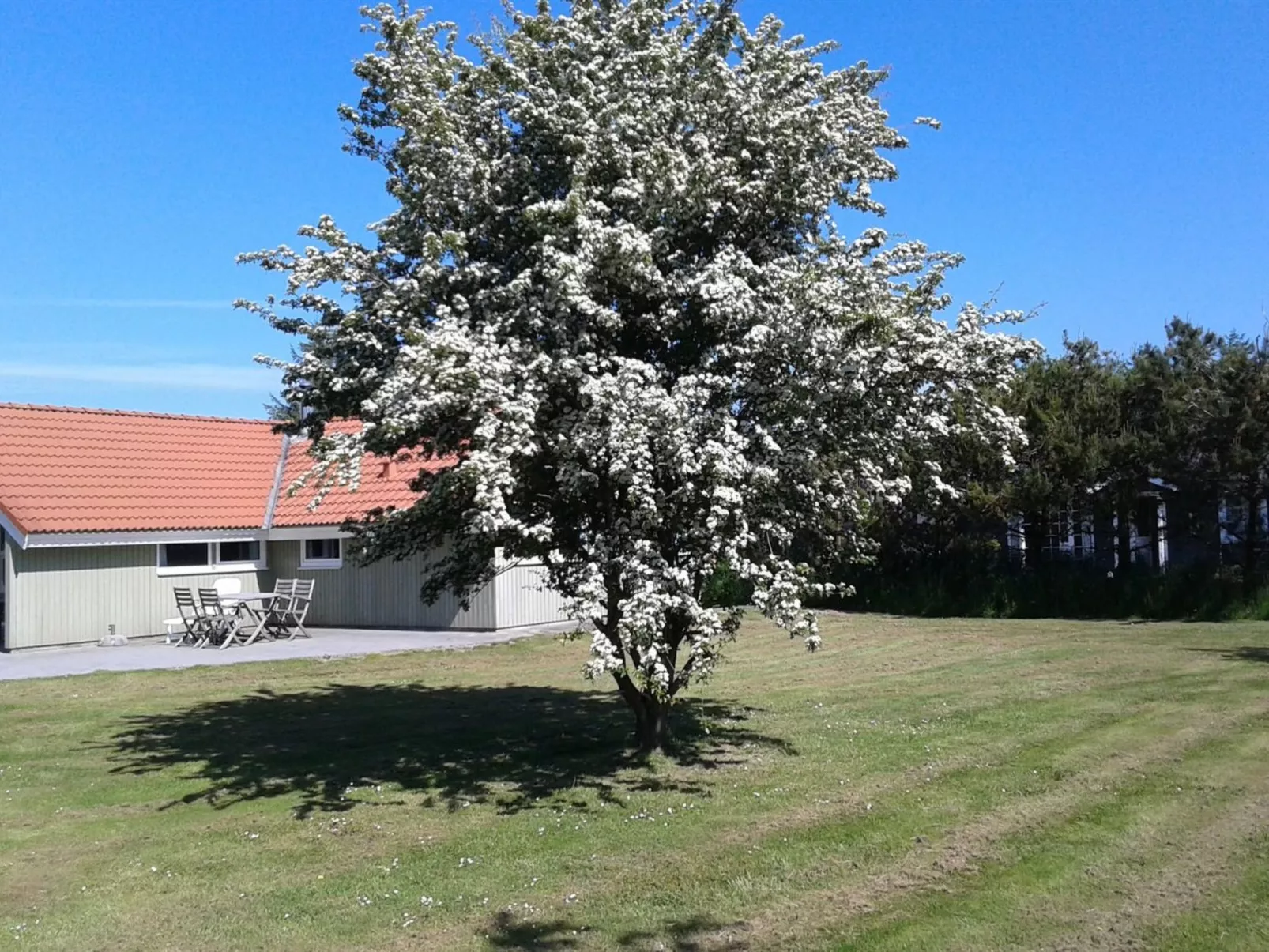 "Allita" - 12km from the sea-Draußen