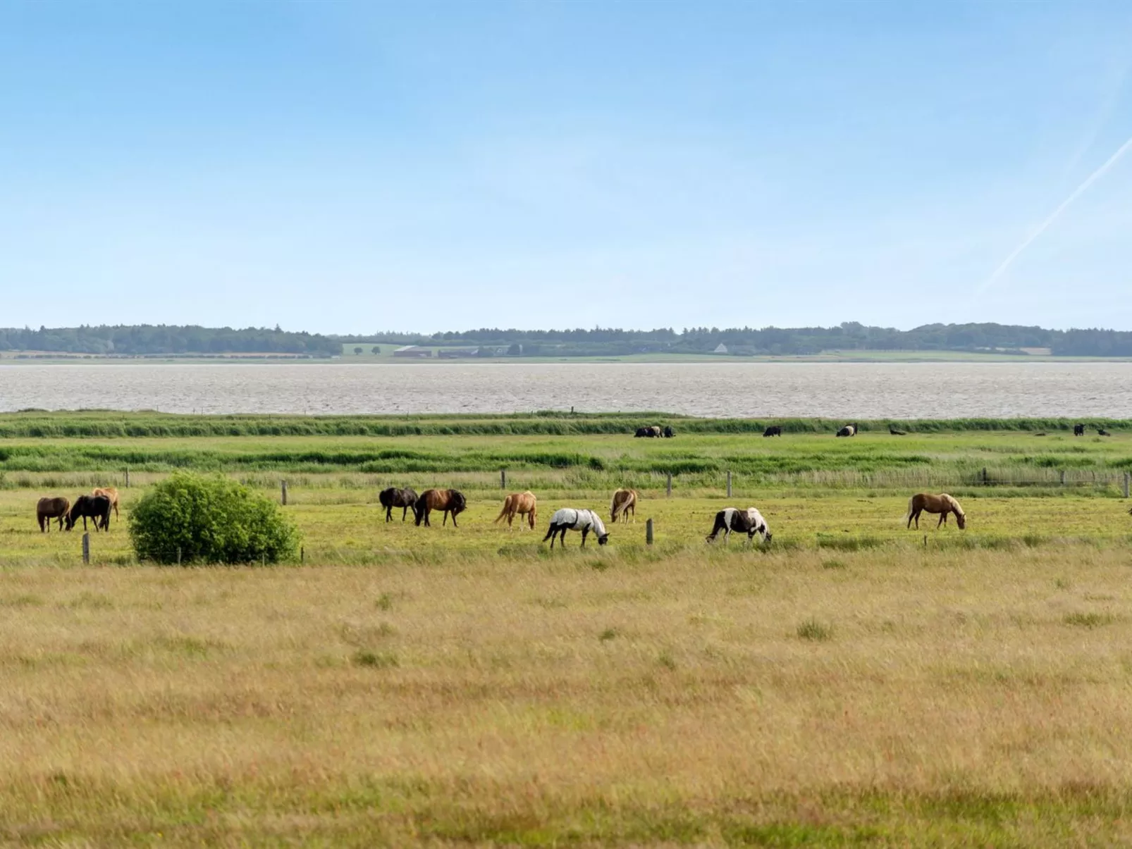 "Eltje" - 4km from the sea-Outside