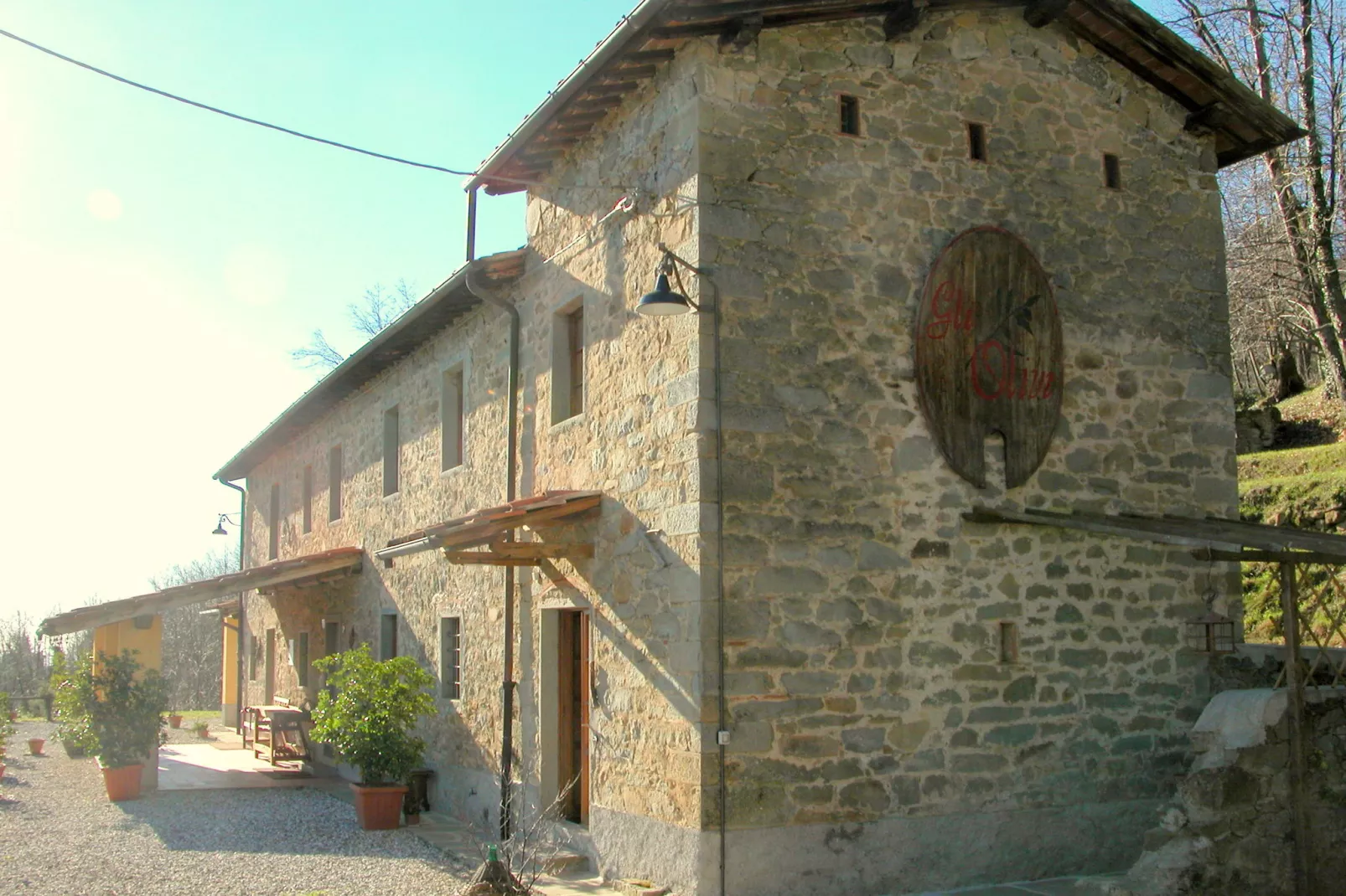 Olivi Giallo-Exterior summer