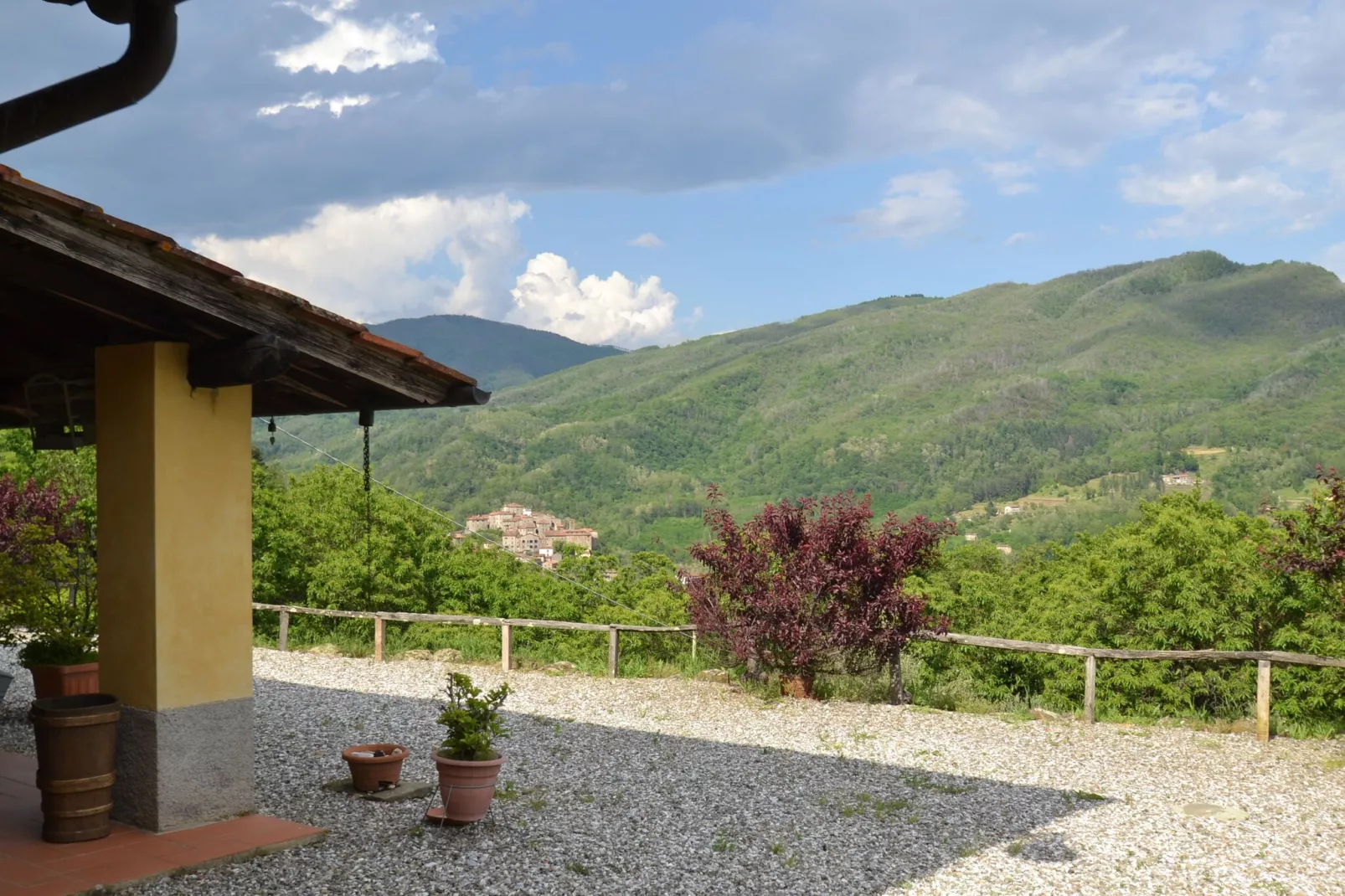 Olivi Giallo-View summer