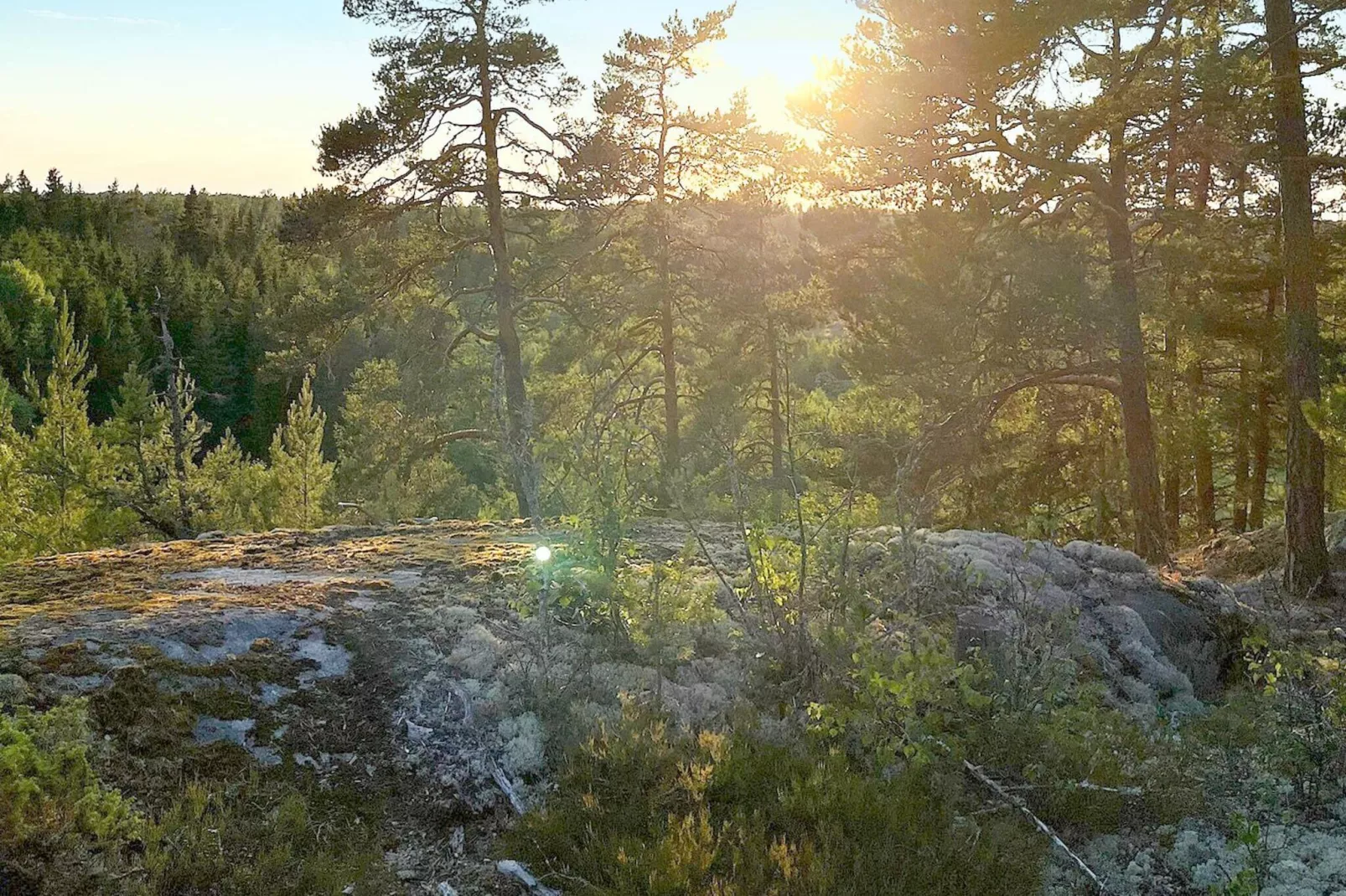 4 person holiday home in Norrtälje-By Traum-Not tagged
