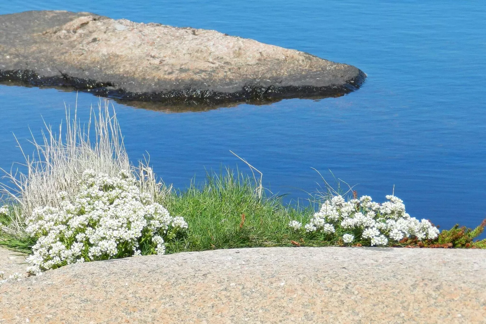 5 person holiday home in LYSEKIL-Outdoor