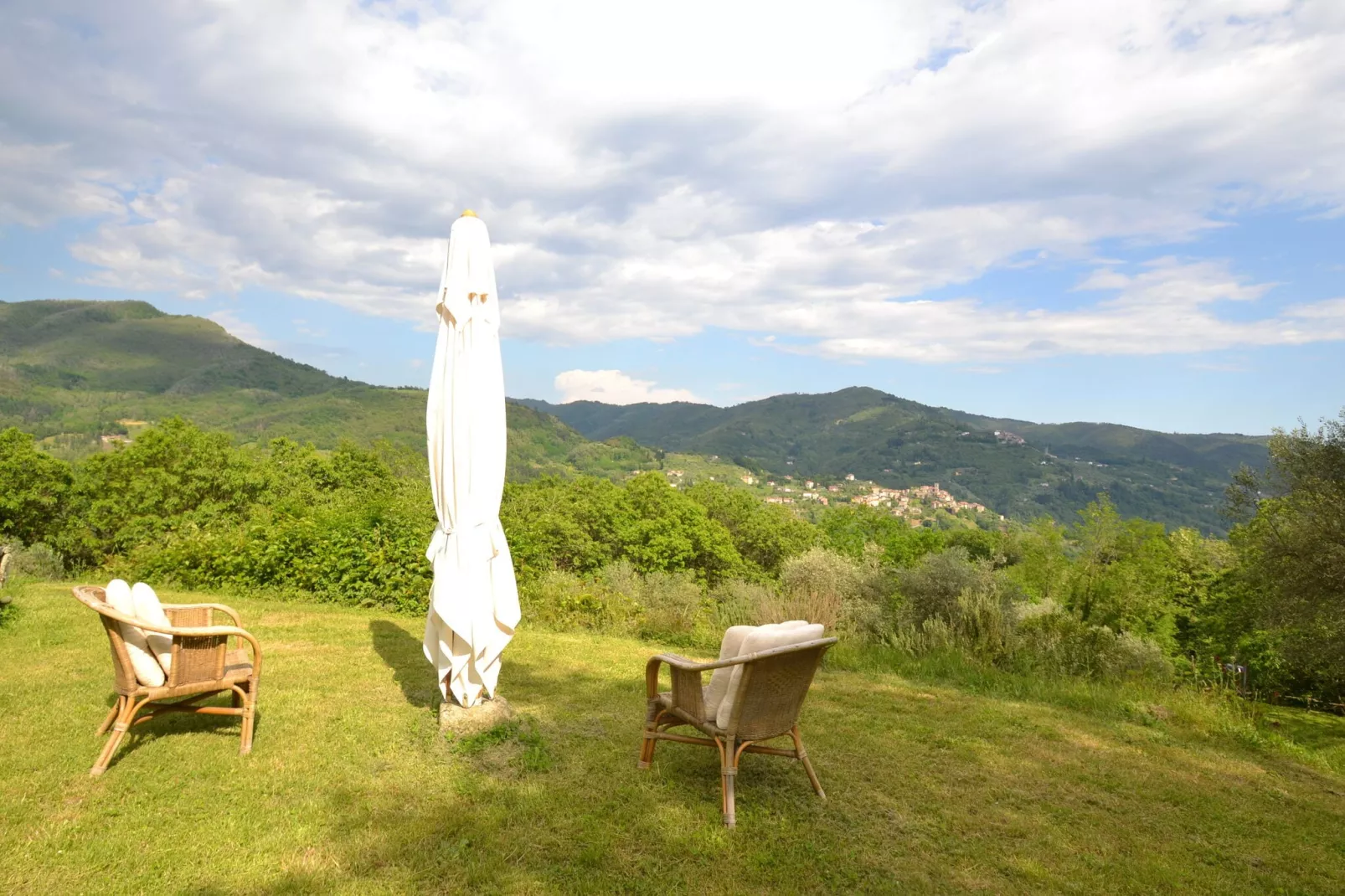 Olivi Giallo-Areas summer 1km