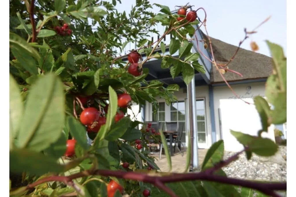 382083-Außenbereich Sommer