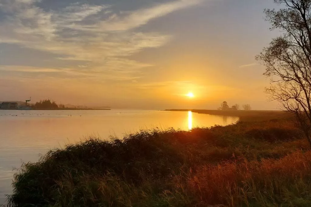386421-Gebiete Sommer 1 km