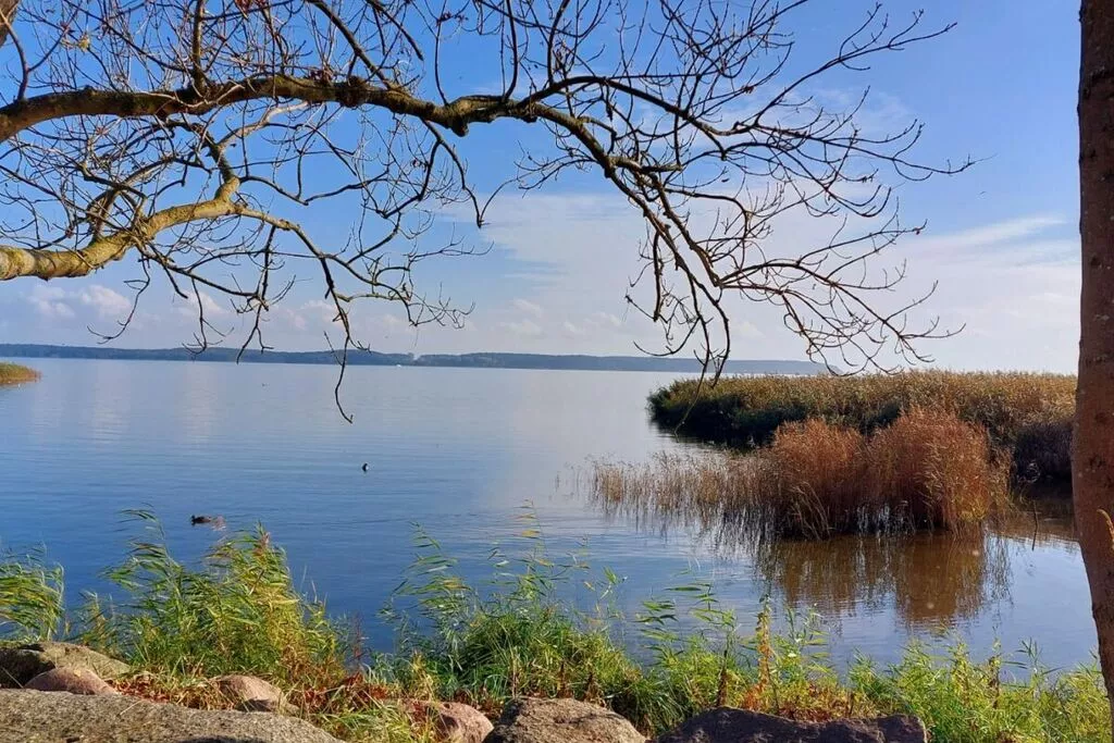 386421-Gebiete Sommer 1 km