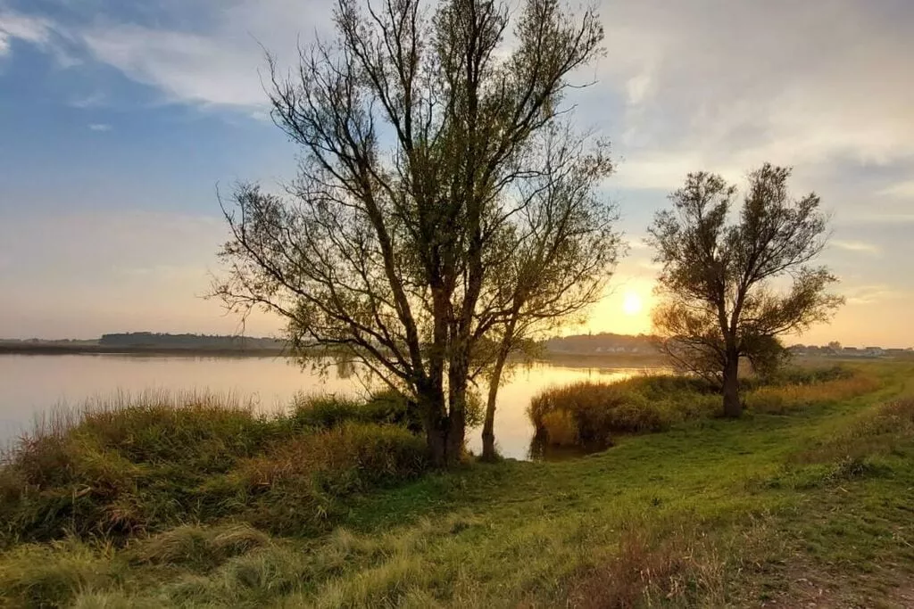 386421-Gebiete Sommer 1 km