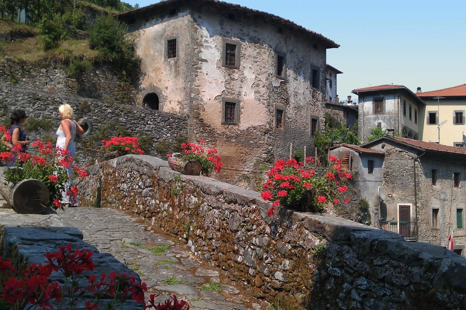 Olivi Giallo-Areas summer 20km