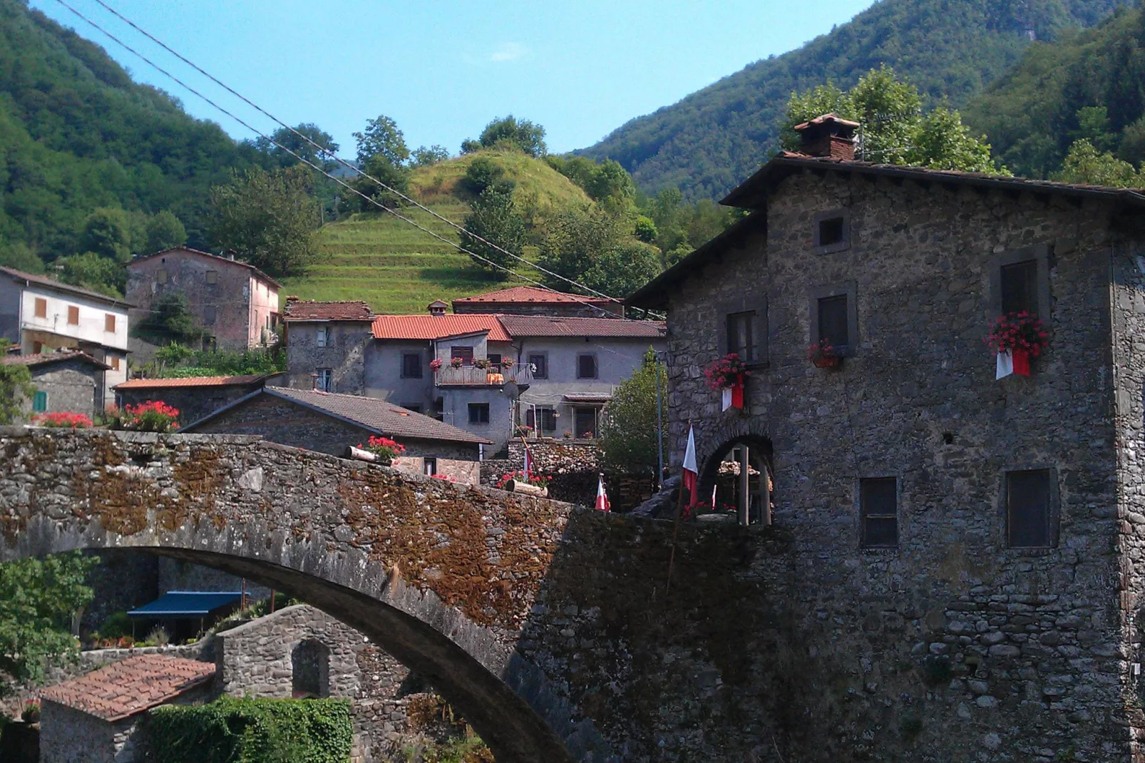 Olivi Giallo-Areas summer 20km