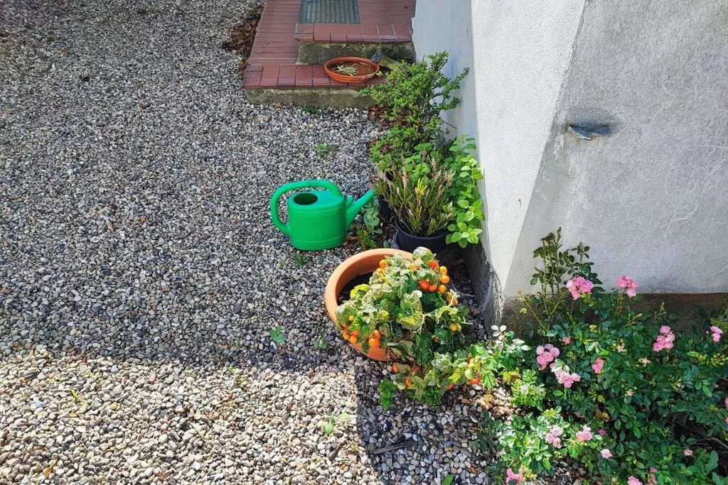 482457-Gardens summer