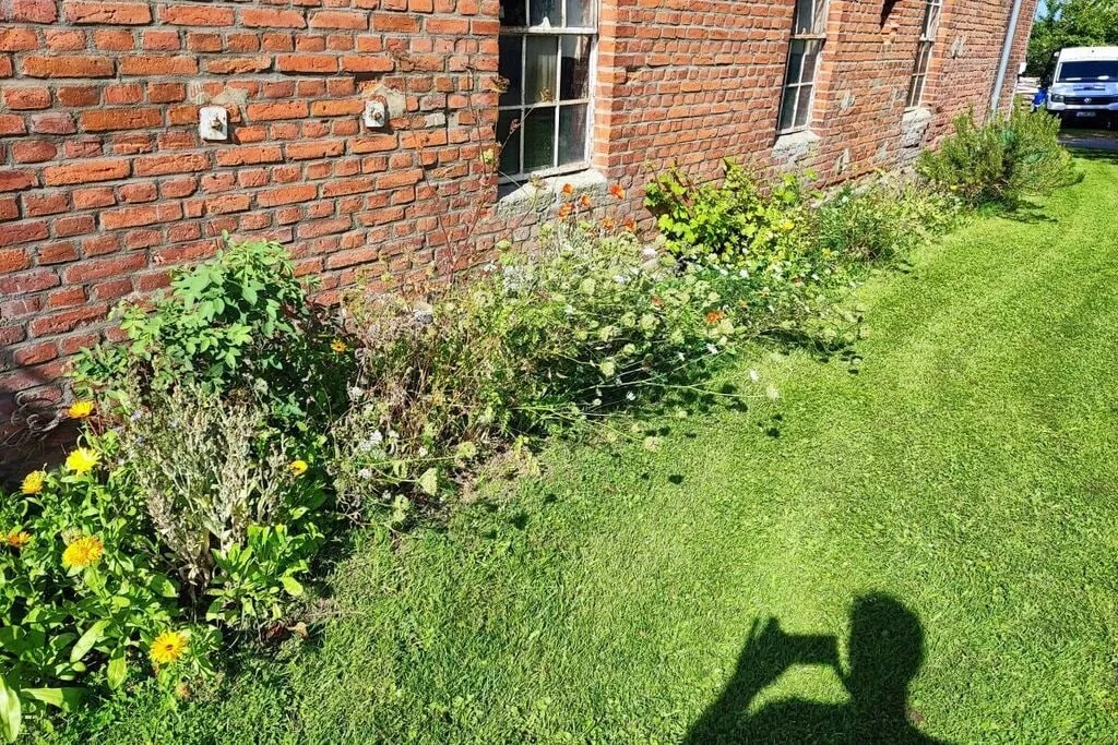 482457-Gardens summer