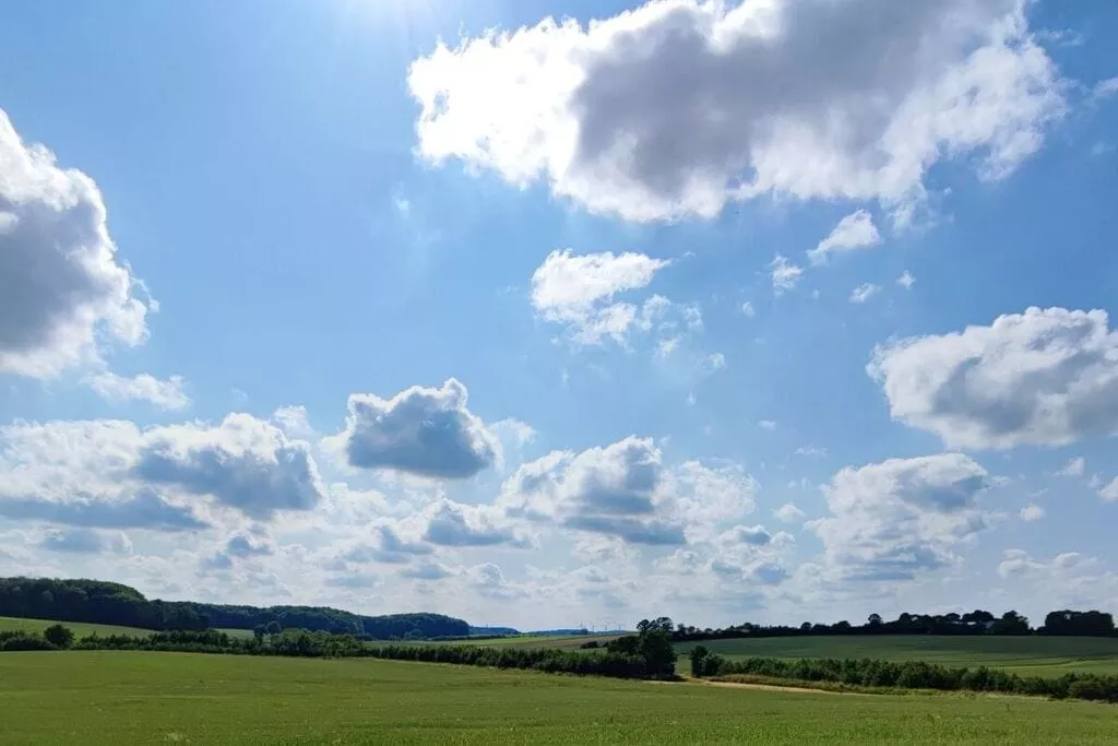 482457-Areas summer 5km
