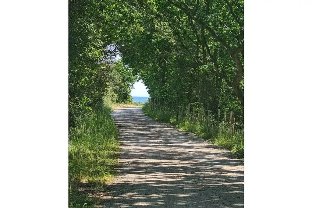 381097-Areas summer 5km