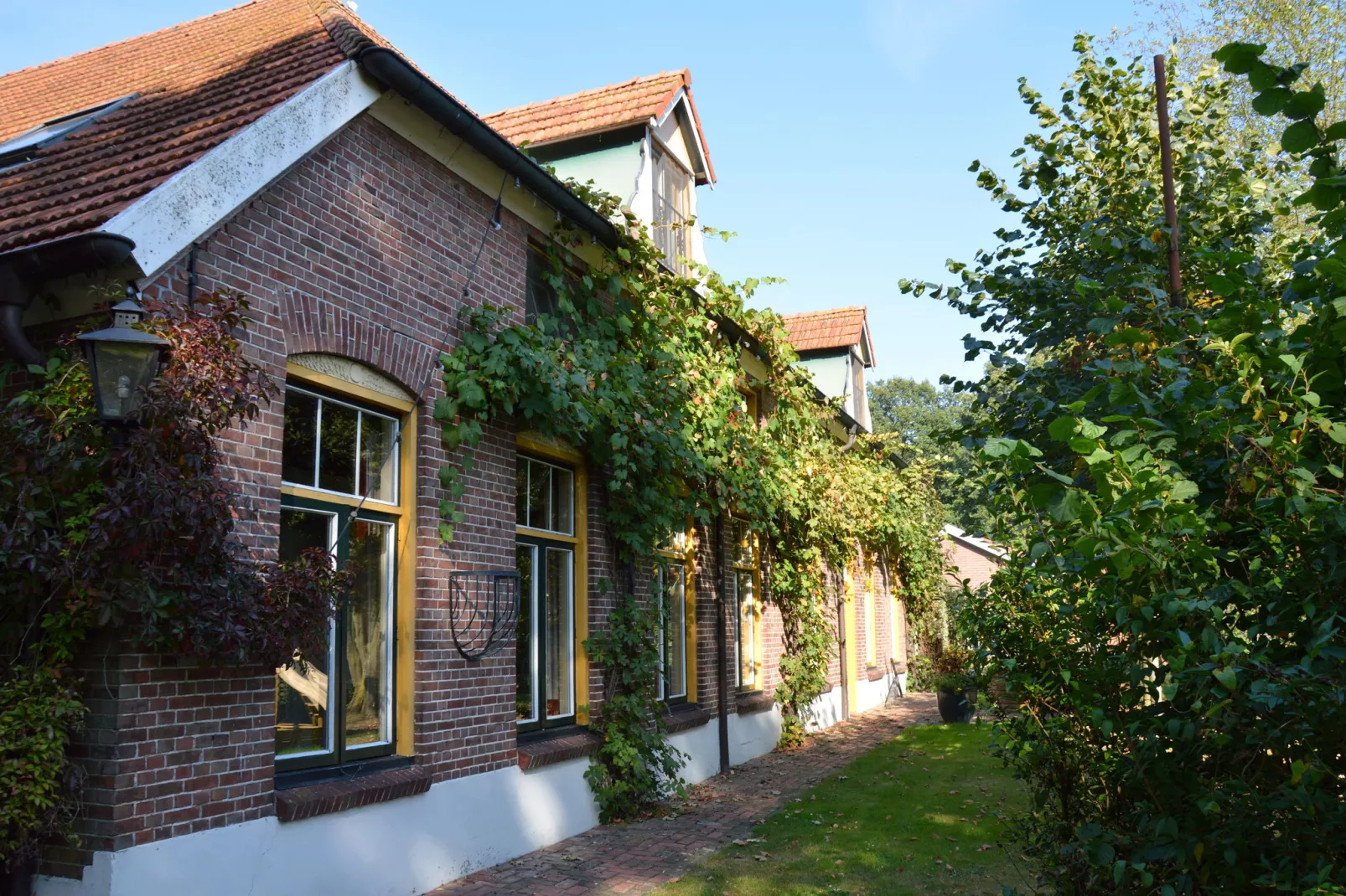 Gelink Hof-Außenbereich Sommer