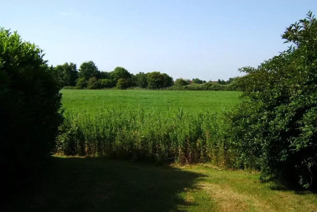 381370-View summer