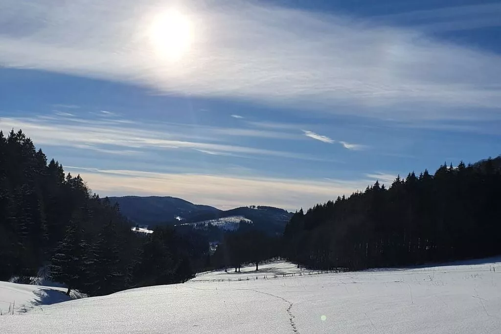 369440-Nicht getaggt