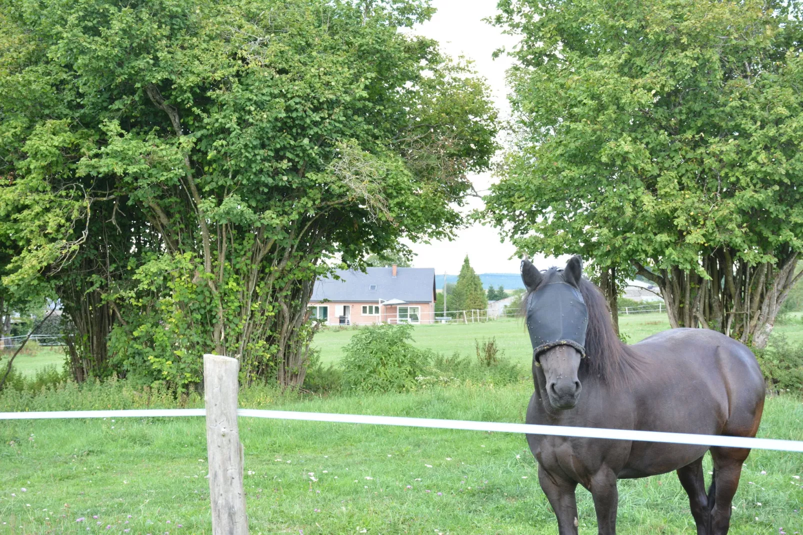 Sous le Charme d'Epona-Gardens summer