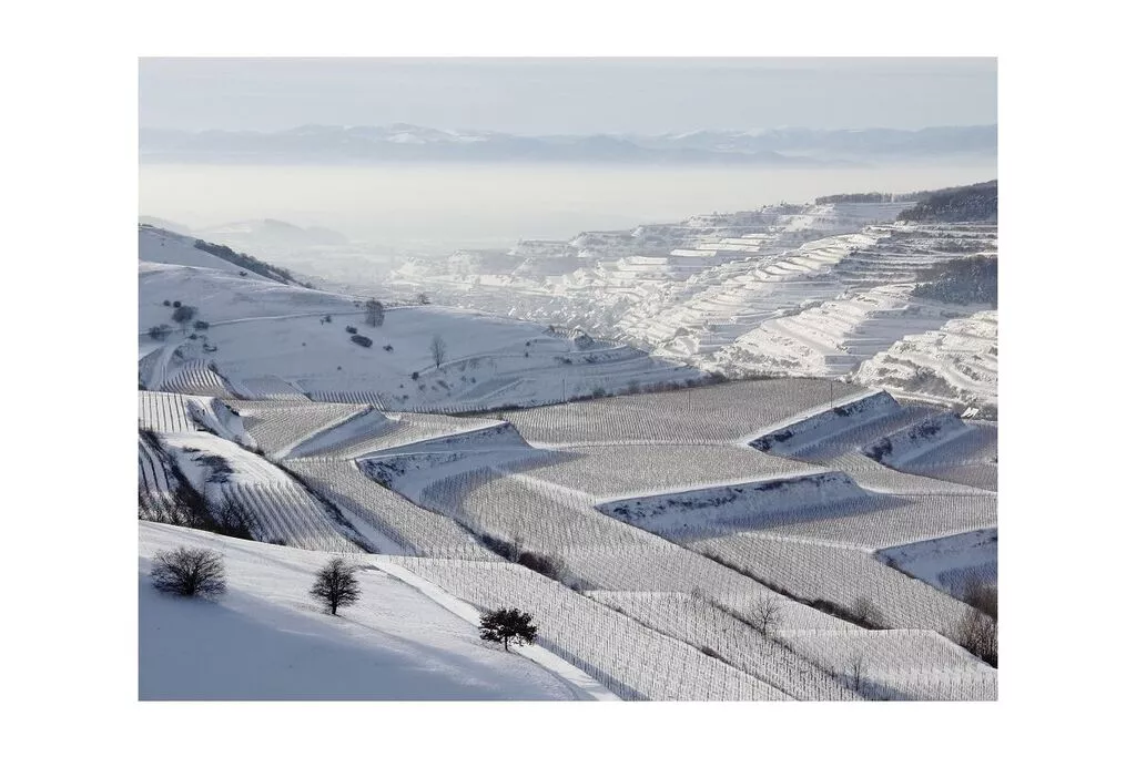 407067-Area winter 5km