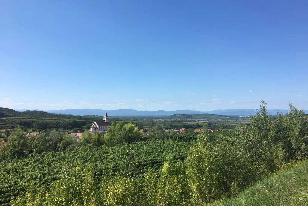 407067-Areas summer 5km