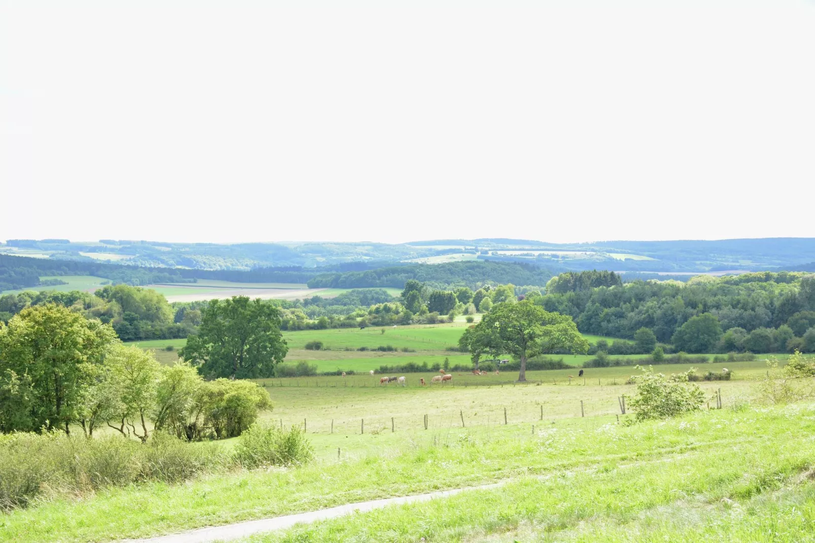 Sous le Charme d'Epona-Areas summer 1km