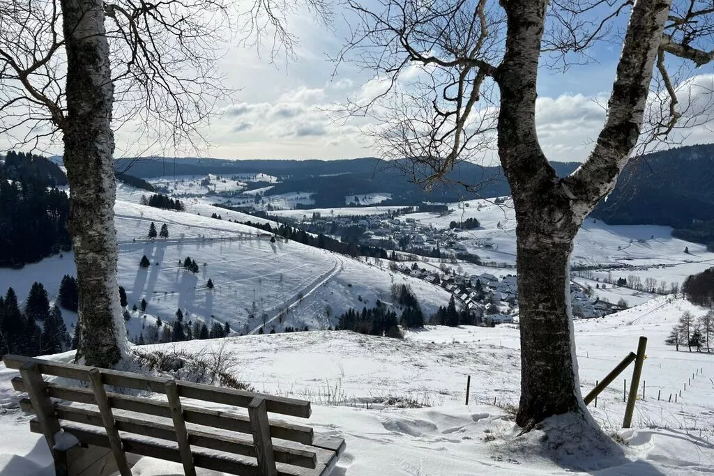 407067-Area winter 5km