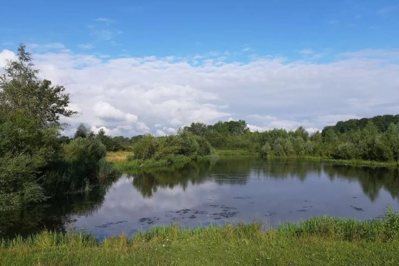 Gelink Hof-Gebiete Sommer 1 km
