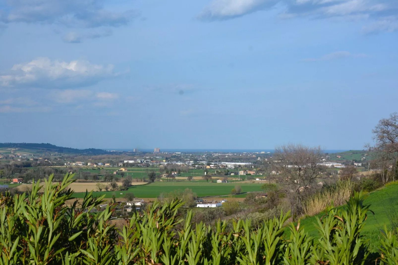Infiniti Colli-View summer