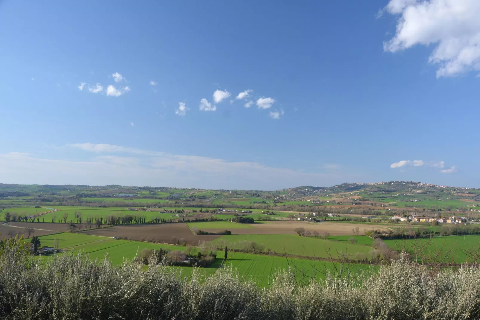 Infiniti Colli-View summer
