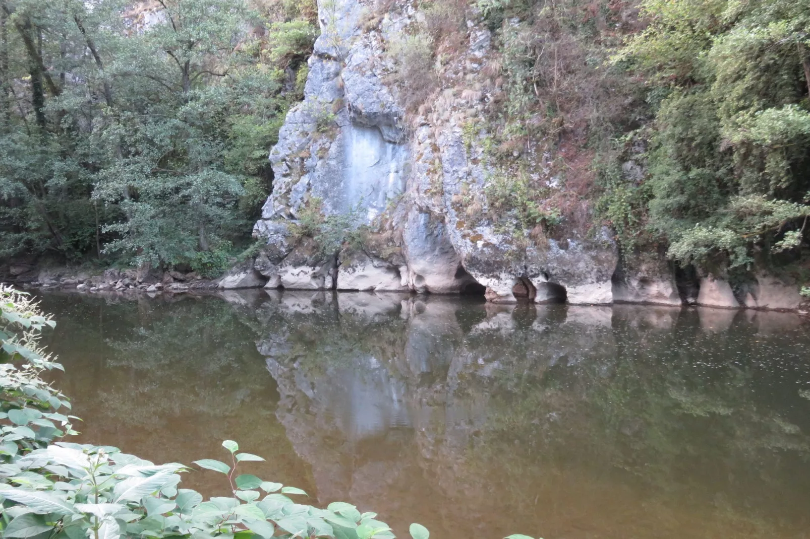 Maison sur Ourthe-Gebiete Sommer 1 km