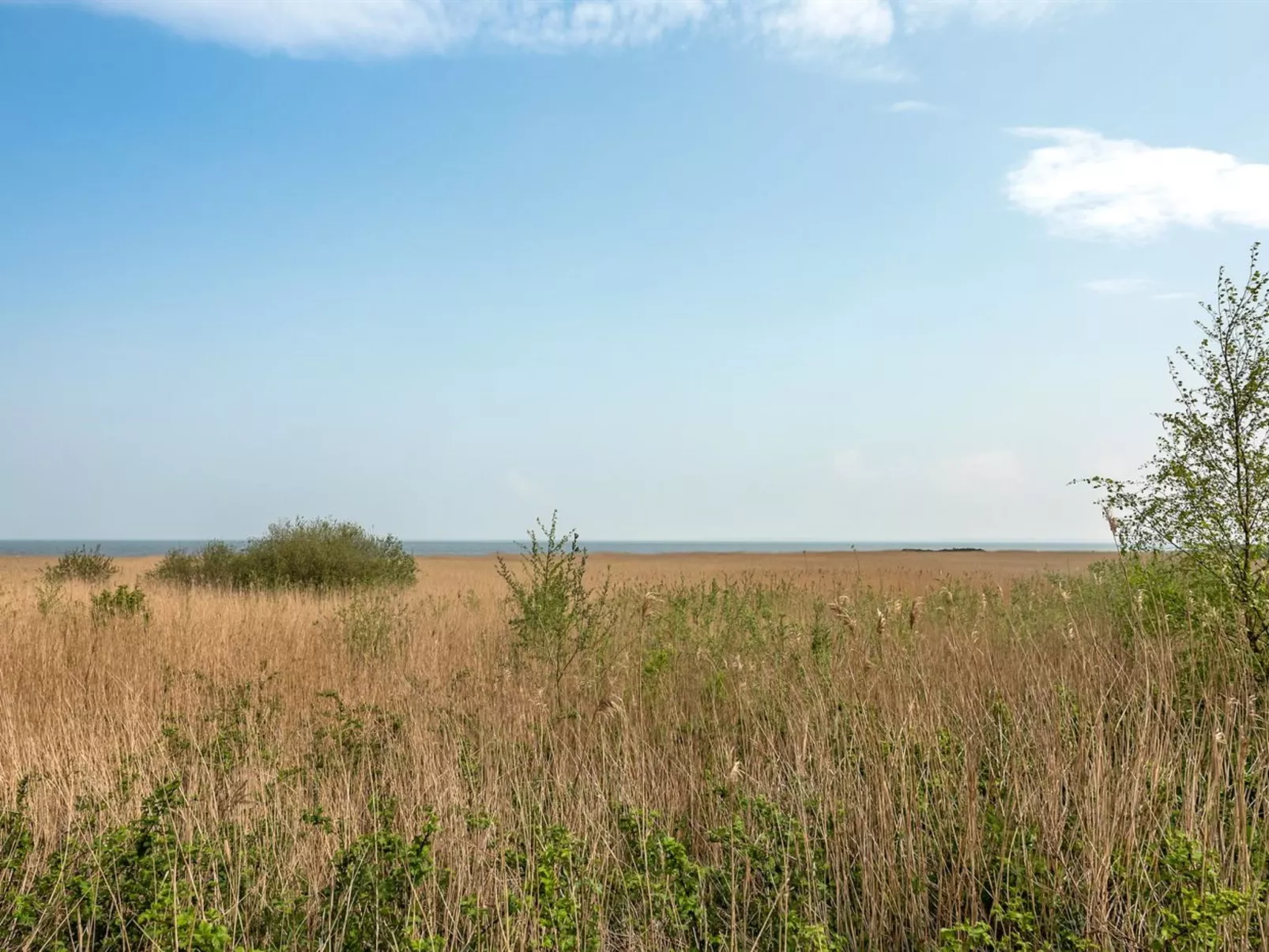 "Solvey" - 2km from the sea-Outside