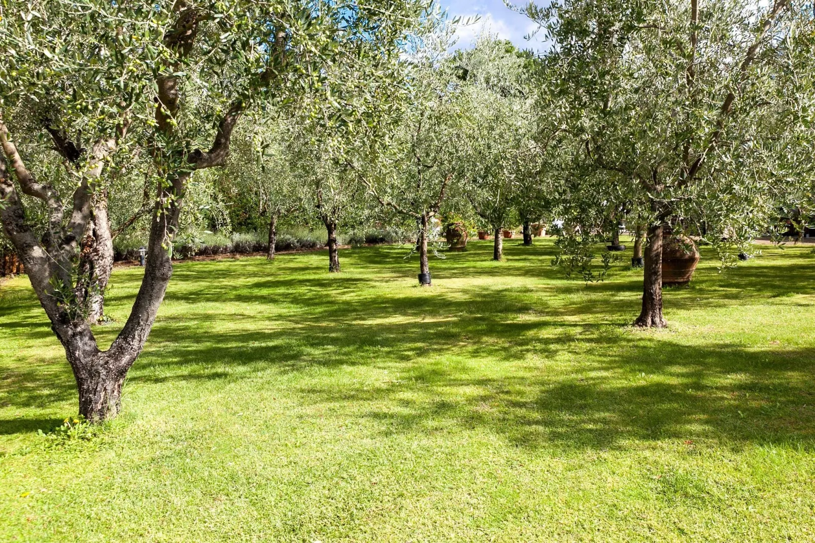Il Nido-Areas summer 1km