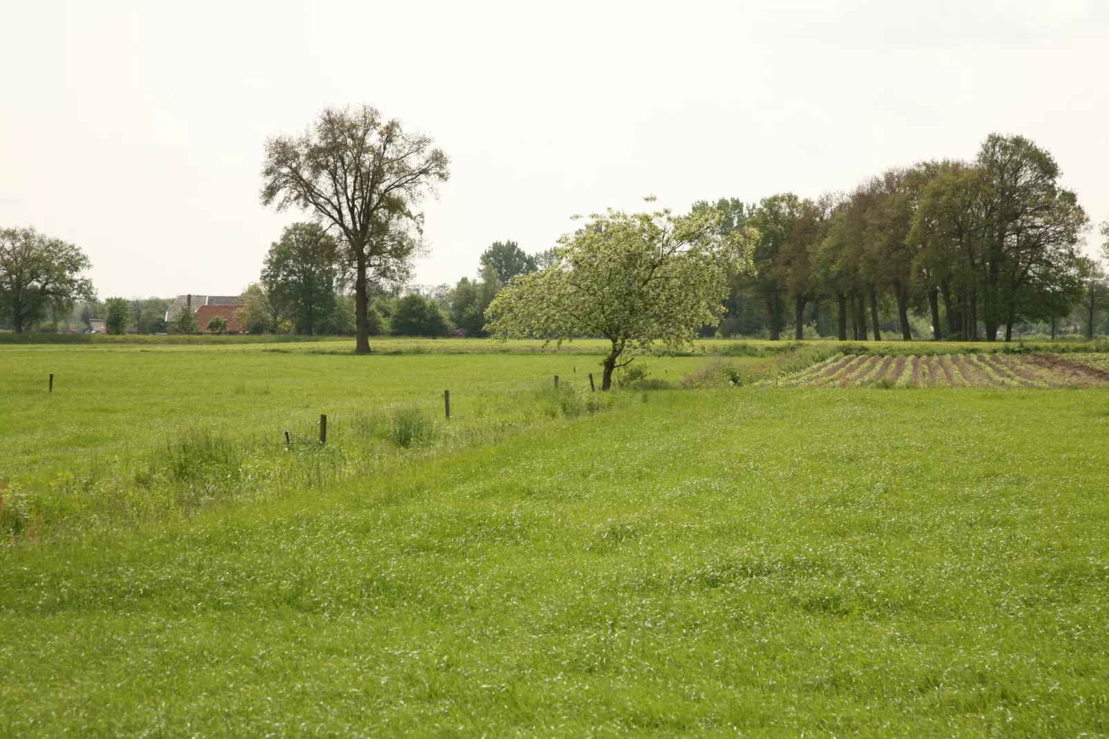 't Achterhoes-Areas summer 1km