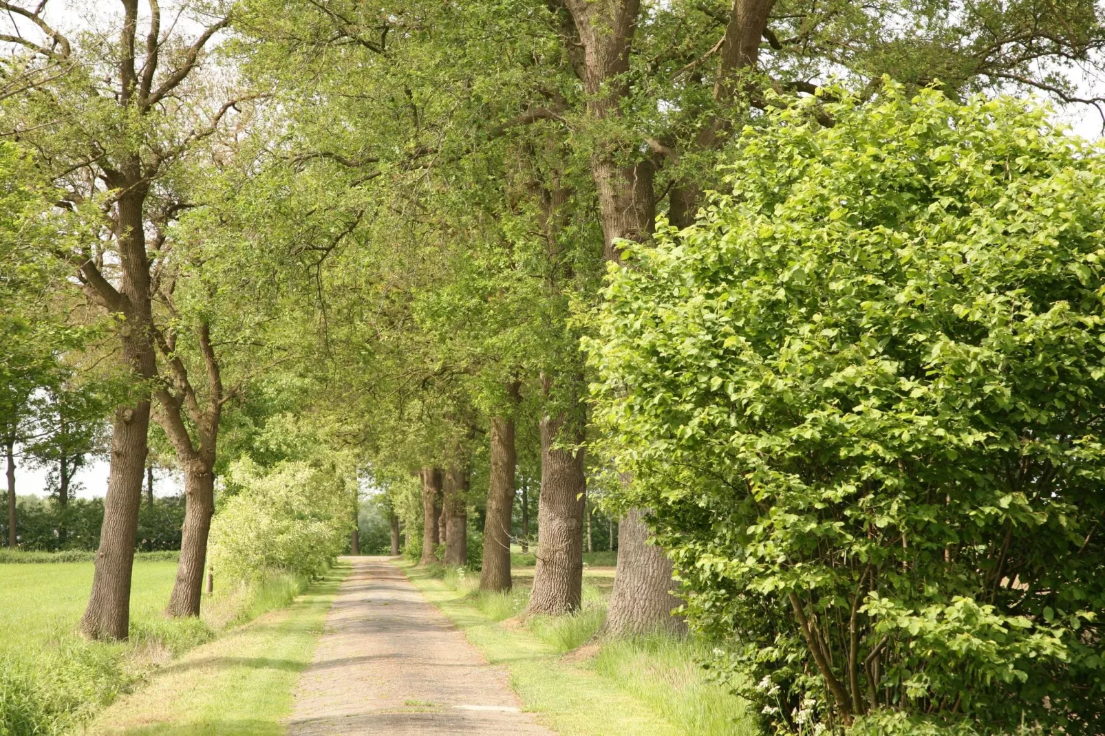 't Achterhoes-Areas summer 1km