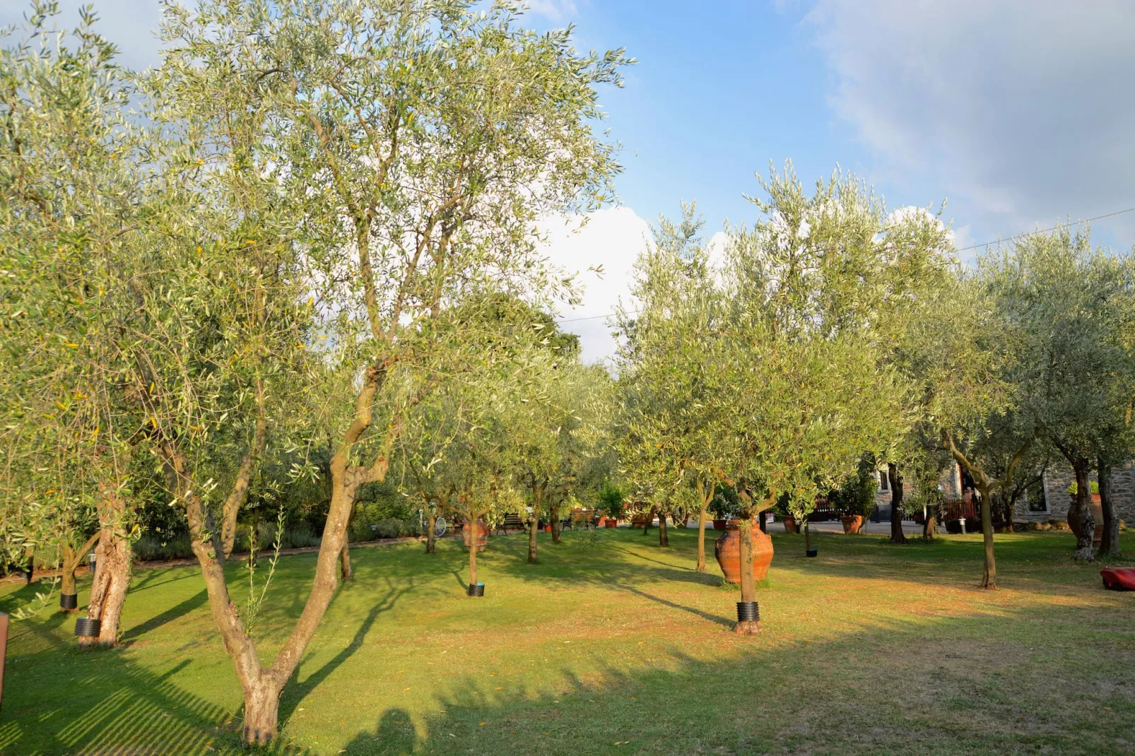 Il Nido-Gardens summer