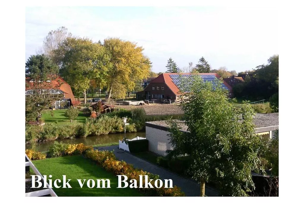 267396-View summer